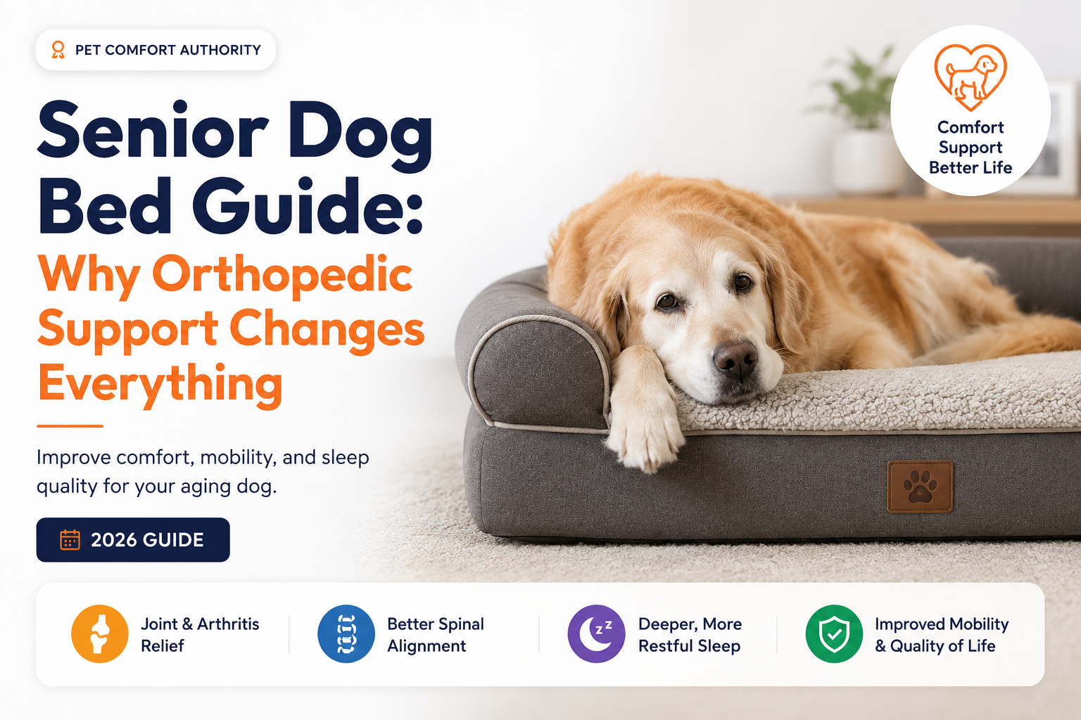 Senior Dog Bed Guide