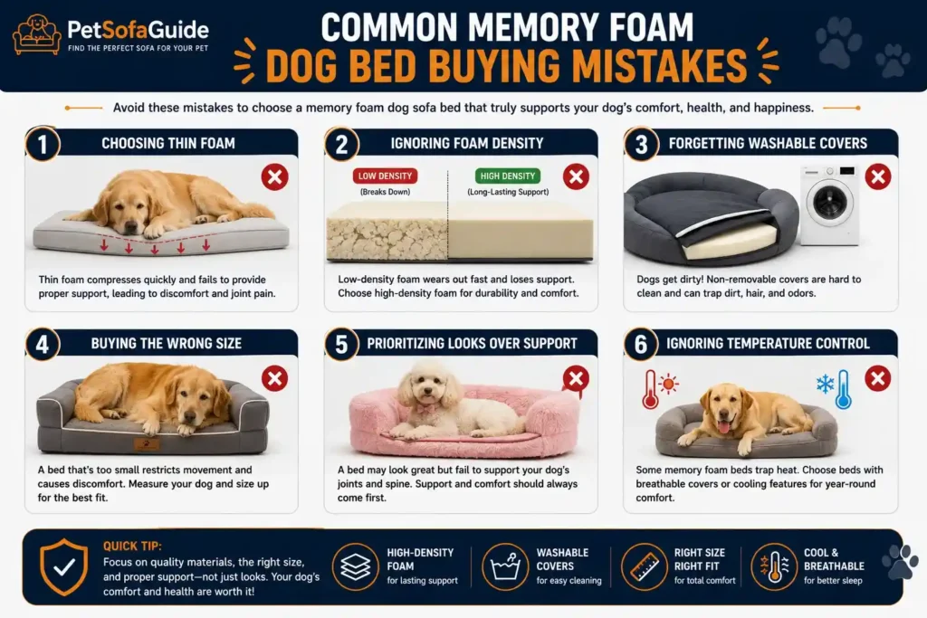 common mistakes when buying a memory foam dog sofa bed