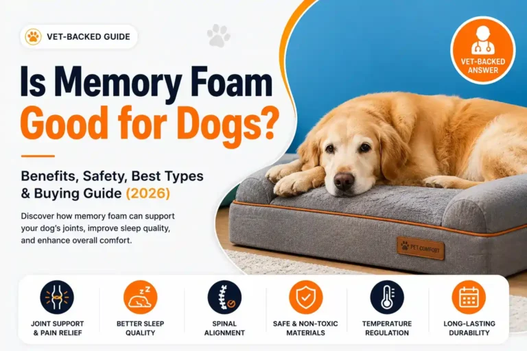 Is Memory Foam Good for Dogs showing orthopedic memory foam dog sofa bed with senior dog resting comfortably.