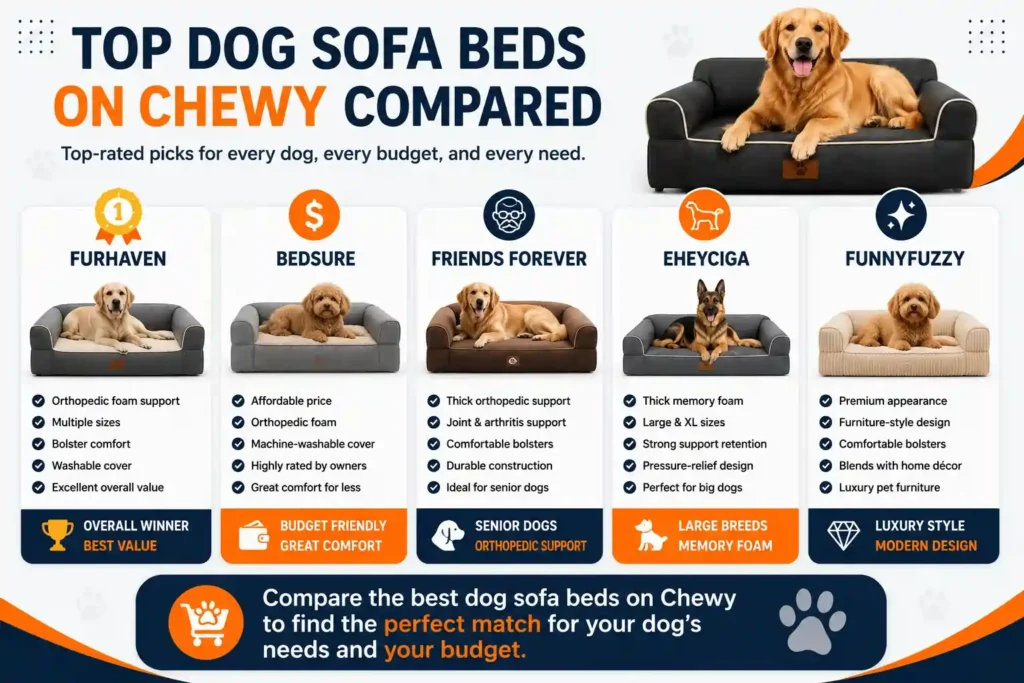 Best Dog Sofa Beds on Chewy Compared
