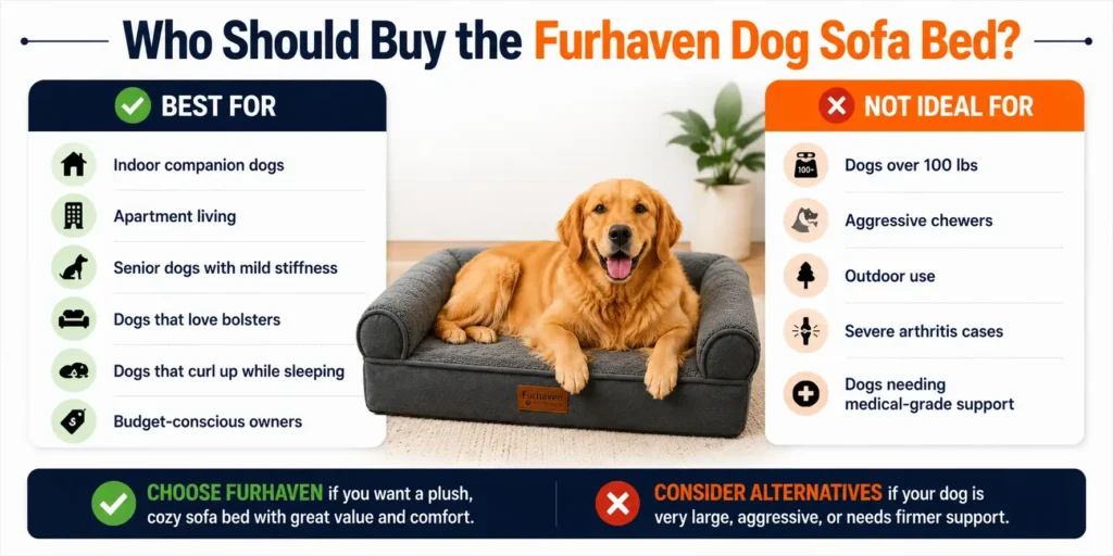 Who should buy the Furhaven Dog Sofa Bed infographic showing best users and who should avoid it.