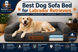 Best dog sofa bed for Labrador Retrievers with orthopedic support